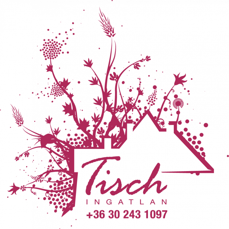 Tisch Ingatlan