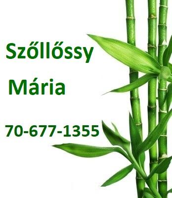 Szöllőssy Mária